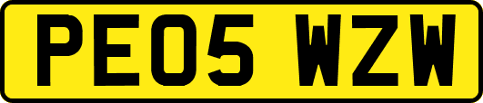 PE05WZW