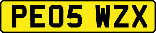 PE05WZX