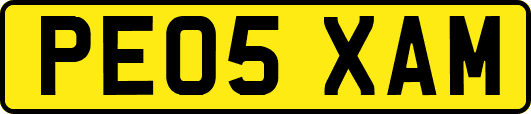 PE05XAM