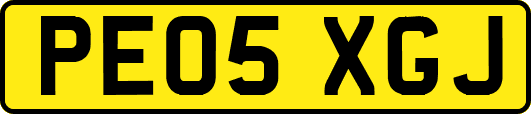 PE05XGJ