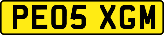 PE05XGM