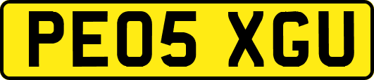 PE05XGU