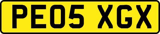 PE05XGX