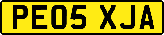 PE05XJA