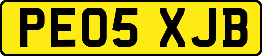 PE05XJB