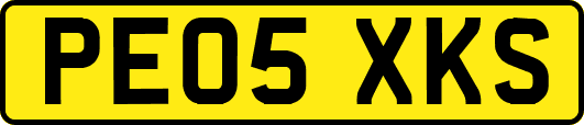 PE05XKS