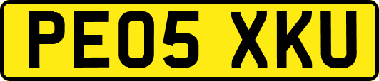 PE05XKU