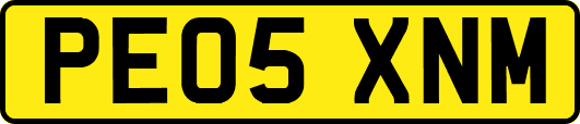 PE05XNM