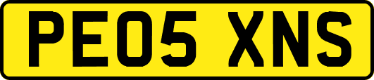 PE05XNS