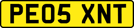 PE05XNT