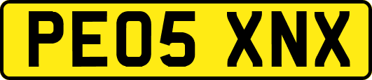 PE05XNX