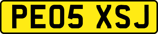PE05XSJ