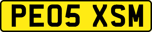 PE05XSM
