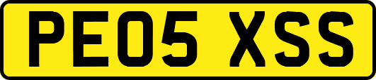 PE05XSS