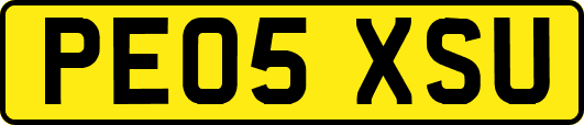 PE05XSU