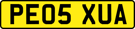 PE05XUA