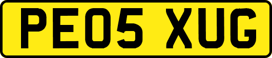 PE05XUG