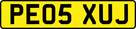 PE05XUJ