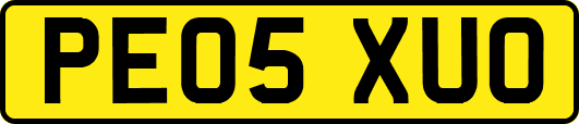 PE05XUO