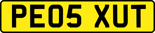 PE05XUT