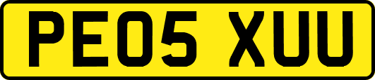 PE05XUU