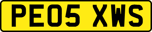 PE05XWS