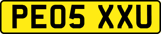 PE05XXU