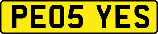 PE05YES