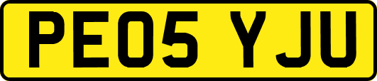 PE05YJU