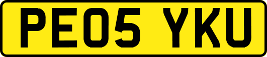 PE05YKU