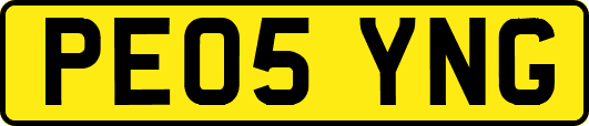 PE05YNG