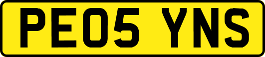 PE05YNS