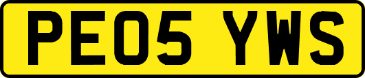 PE05YWS