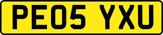 PE05YXU