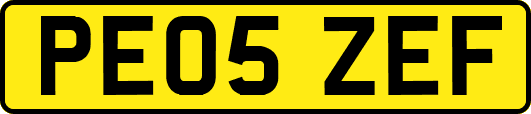 PE05ZEF