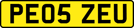 PE05ZEU