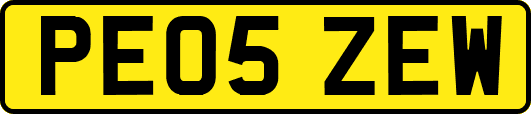 PE05ZEW