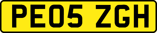 PE05ZGH
