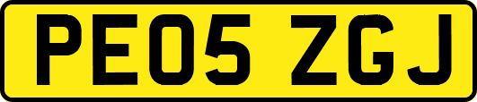 PE05ZGJ