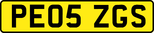 PE05ZGS