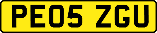 PE05ZGU