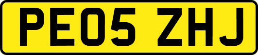 PE05ZHJ