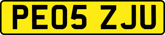 PE05ZJU