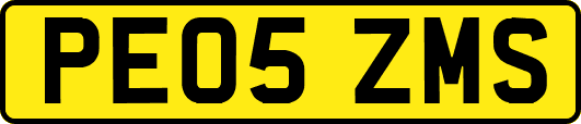 PE05ZMS