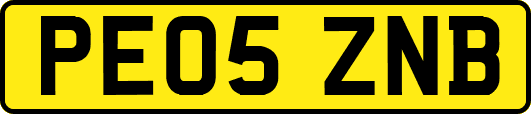 PE05ZNB