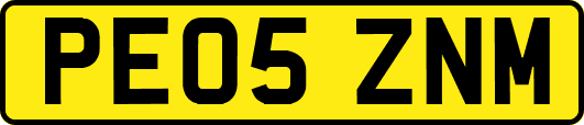 PE05ZNM
