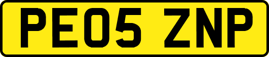 PE05ZNP