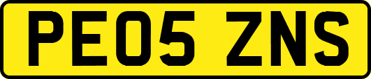 PE05ZNS