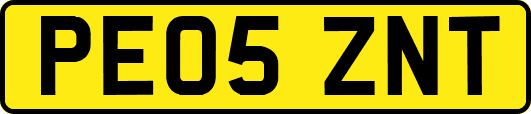 PE05ZNT