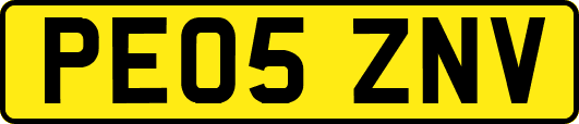 PE05ZNV